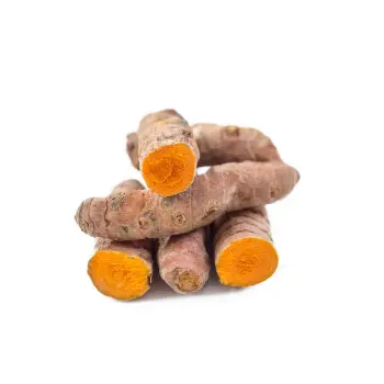 Fresh Turmeric Roots Manufacturer Turmeric Roots16-4146520-17039.webp